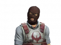 Soldier Phoenix